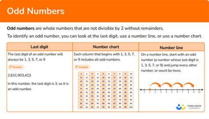 How many odd numbers are there in 40?