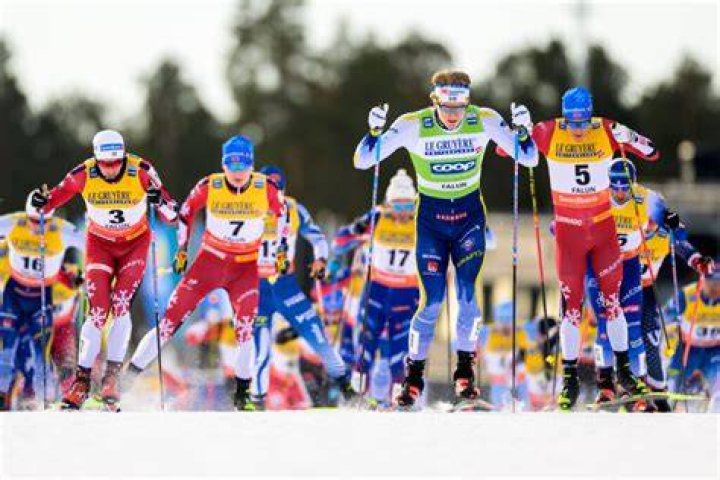 How many people play cross country skiing?