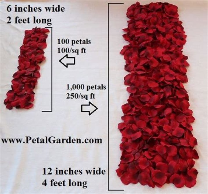 How many petals are around a rose?