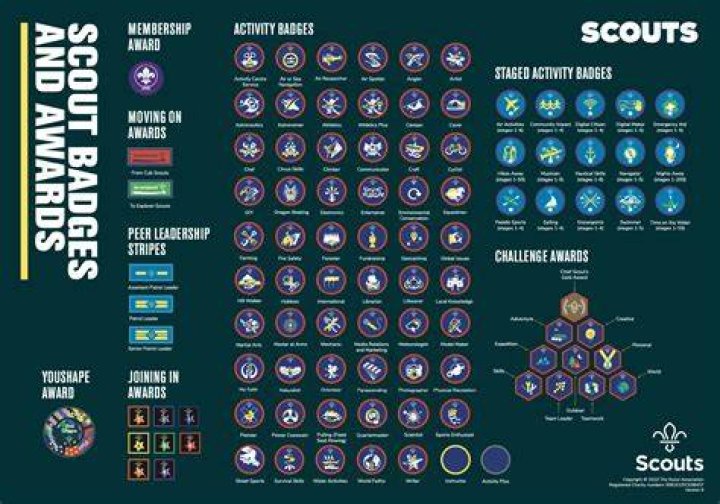How many scouts are there in the US?