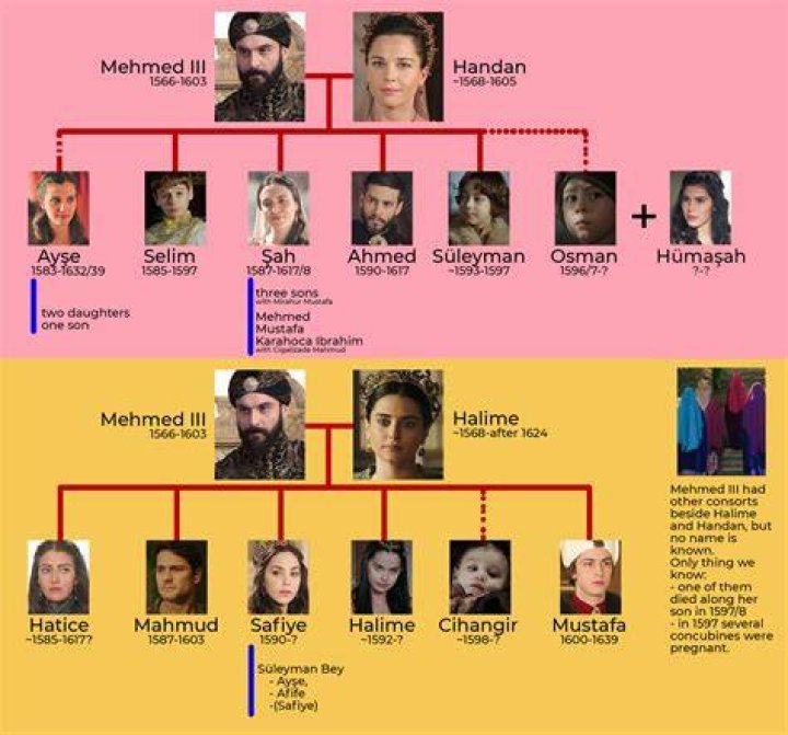 How many wives Sultan Suleiman had?