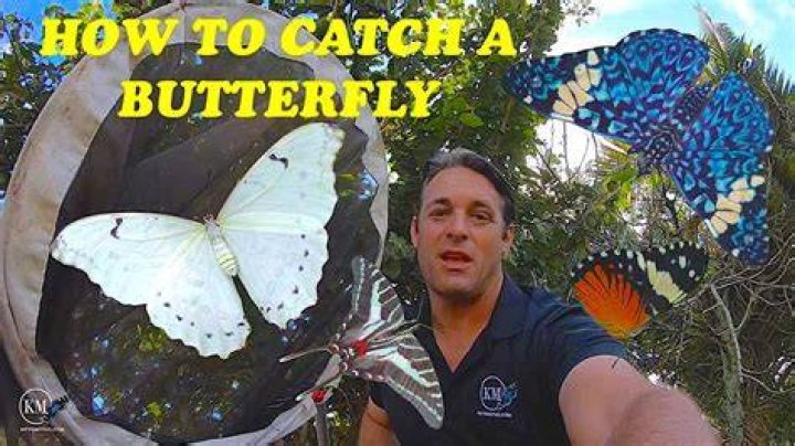 How much do Lepidopterists make?