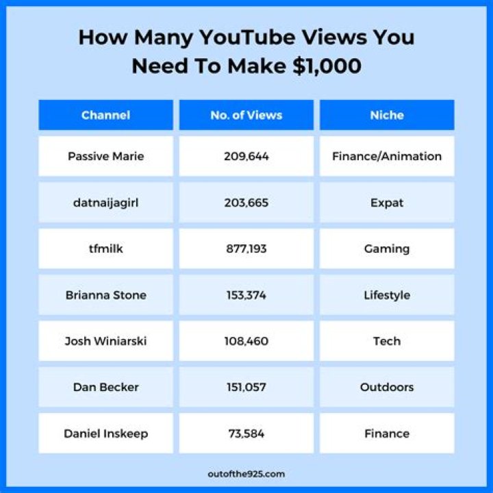 How much does a 1000 views make?