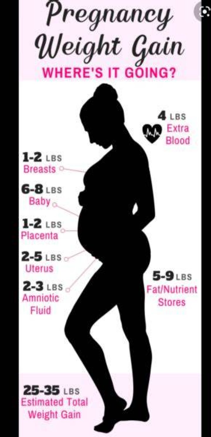 How much does a placenta weigh?