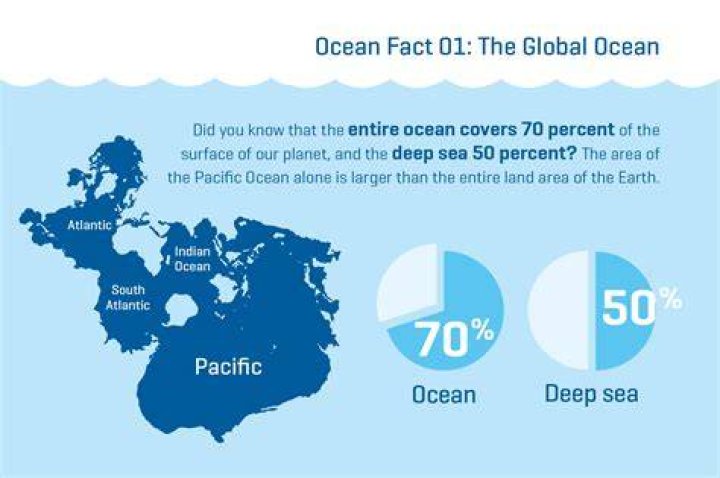 How much of the ocean is undiscovered 2020?