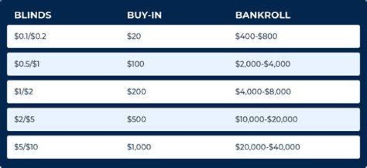 How much of your bankroll should you play with?