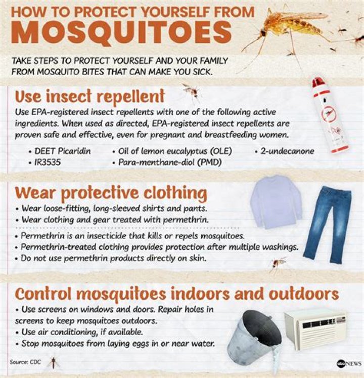 【How-to】Can mosquitoes bite through clothing