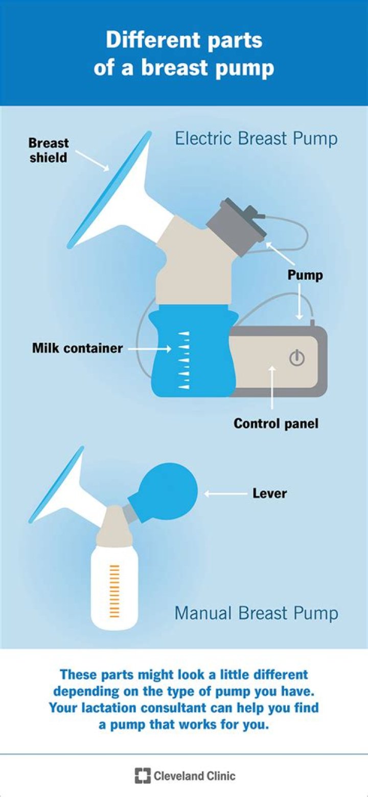【How-to】Can you use a breast pump on a dog