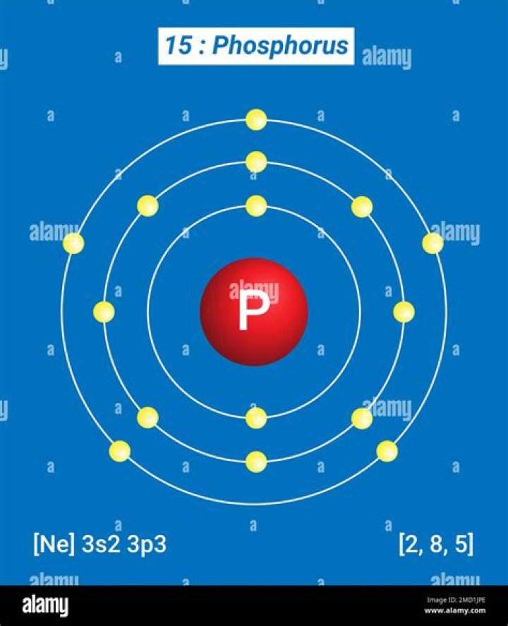 【How-to】Do all phosphorus atoms have 15 protons