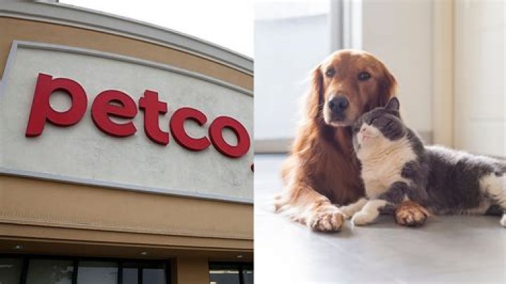 【How-to】Does petco do payment plans