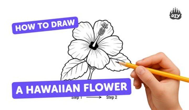 How to Draw a Hawaiian Flower in Just 7 Easy Steps
