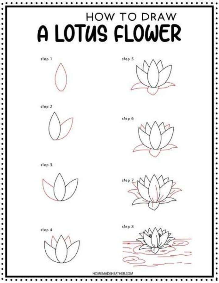 How to Draw a Lotus Flower: Make a Nice flower in 5 Steps