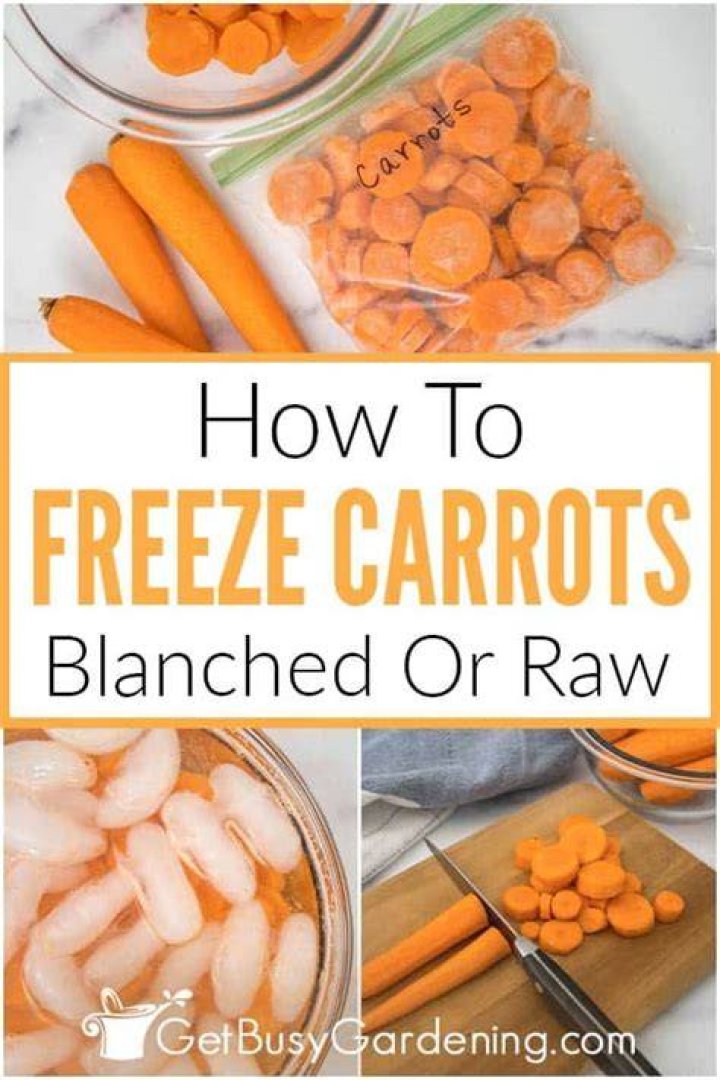 How to Freeze Carrots: Blanching Homesteading