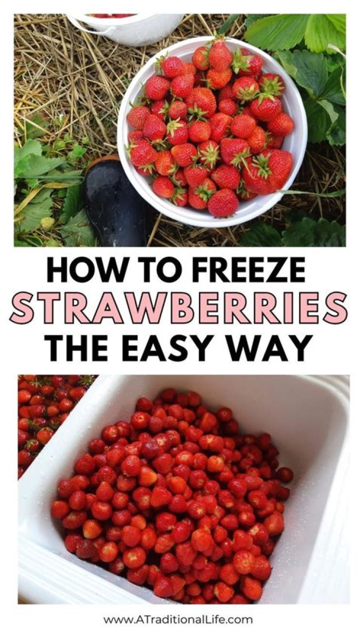 How to Freeze Strawberries Easier Than You Think