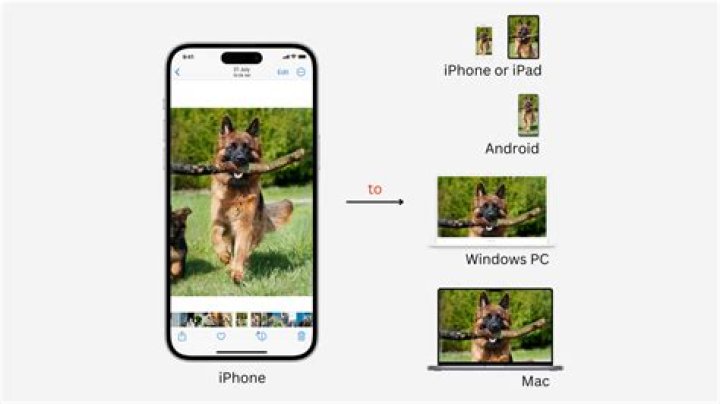【How-to】How do i get pictures off my phone