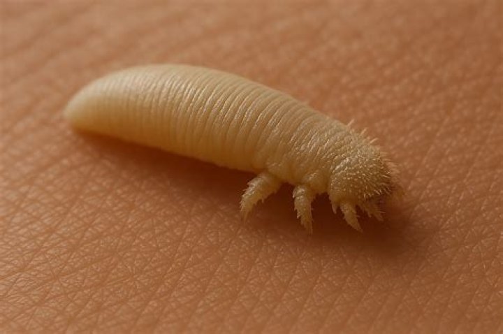 【How-to】How do i stop spider legs on my eyelashes