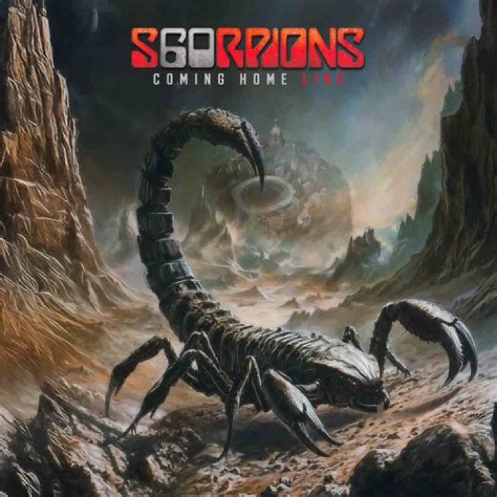 【How-to】How do scorpions get in the house