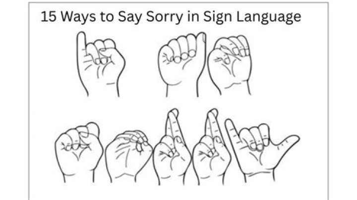【How-to】How do you say sorry in sign language