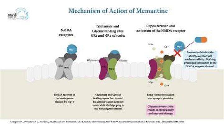 【How-to】How long does memantine work for