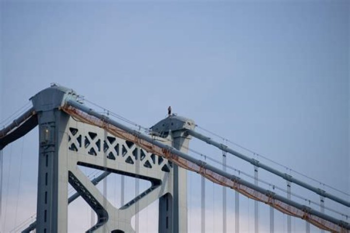 【How-to】How many people died while building the ben franklin bridge