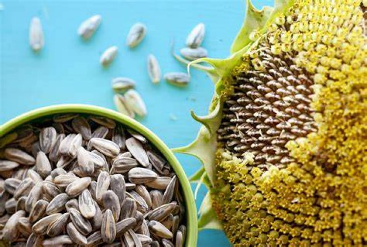 【How-to】How many sunflower seeds are in an ounce