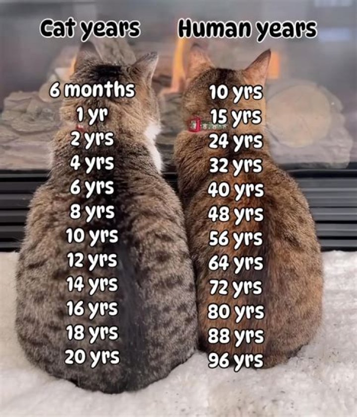 【How-to】How many years do piranha live
