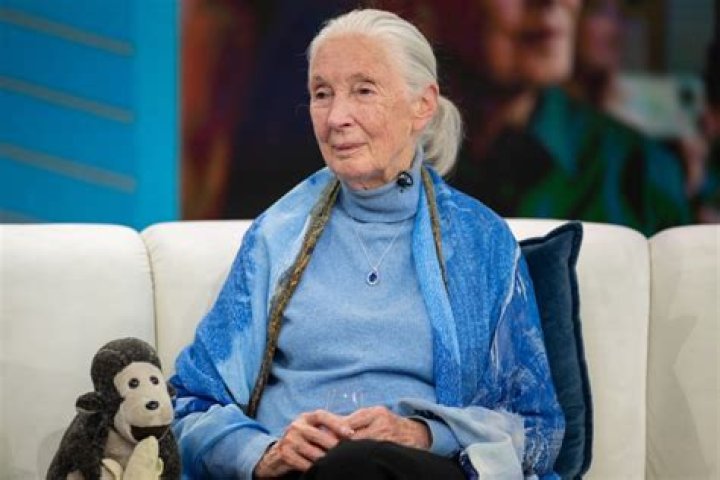 【How-to】How old is jane goodall