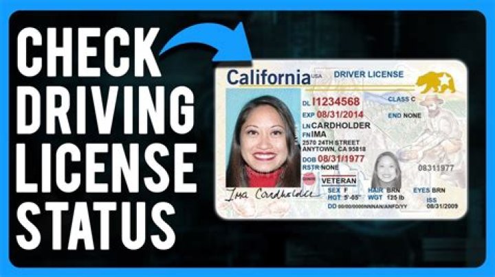 【How-to】How to check my license