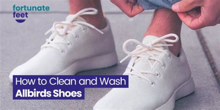 【How-to】How to clean allbirds - Howto.org