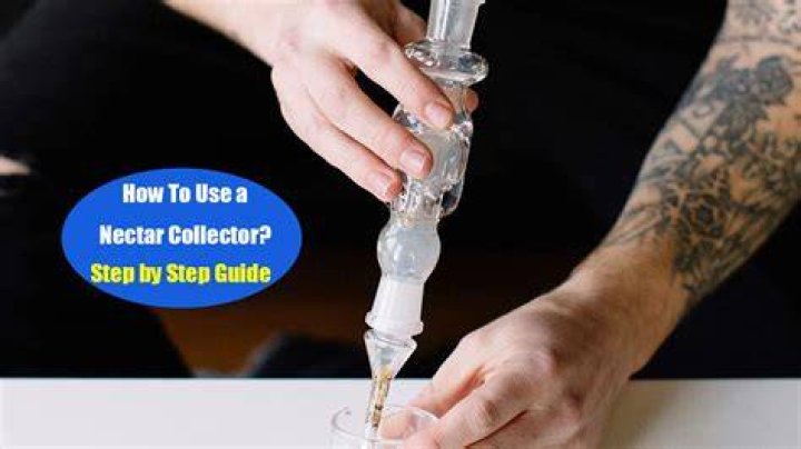 【How-to】How to clean nectar collector