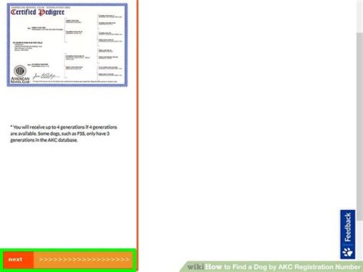 【How-to】How to Find a Dog by AKC Registration Number