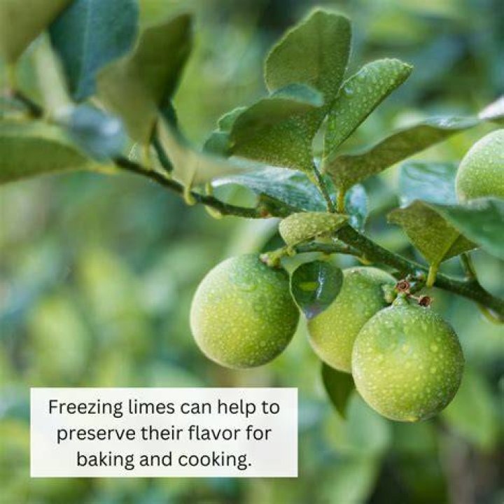 【How-to】How to freeze limes - Howto.org