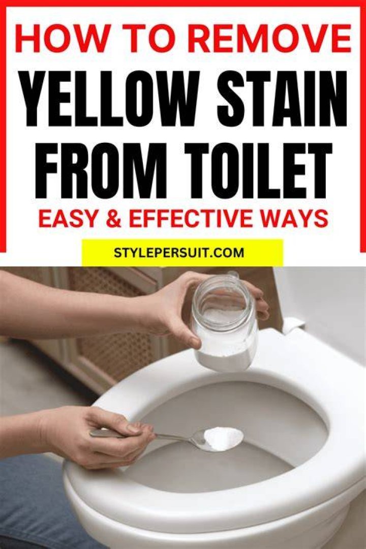 【How-to】How to remove rust from toilet bowl