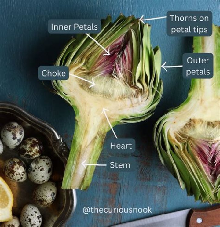 【How-to】How to store artichokes - Howto.org