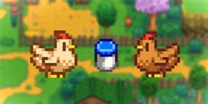 【How-to】How to take care of chickens stardew valley