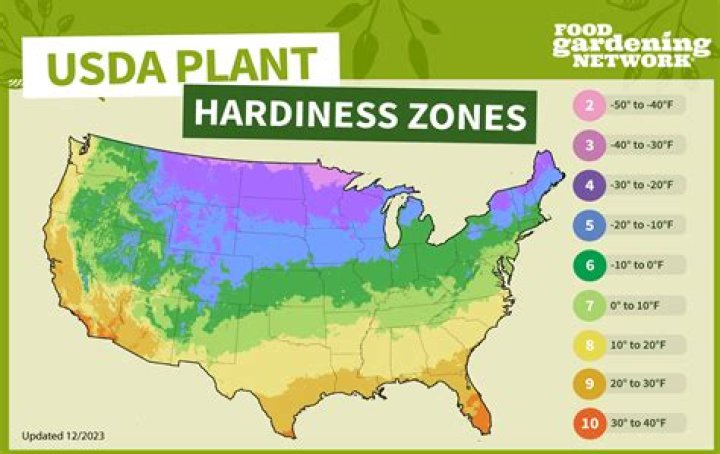 【How-to】How to Understand Plant Hardiness Zones
