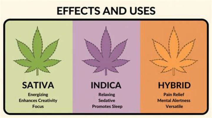 【How-to】Is indica a sleepy high