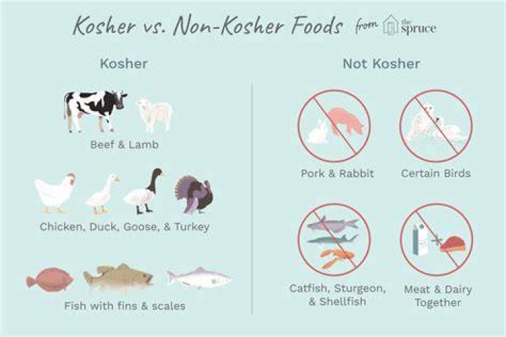 【How-to】Is it kosher to eat fish and meat together