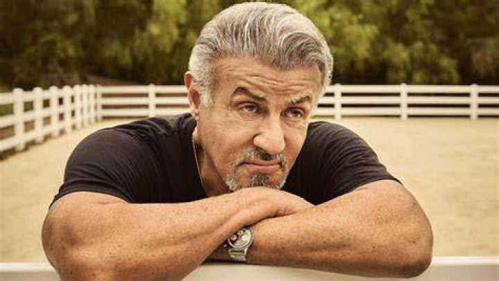【How-to】Is sylvester stallone a vegetarian