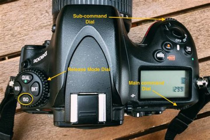 【How-to】Is the nikon d5000 a good camera