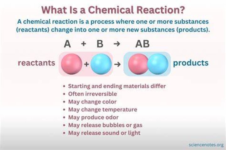 【How-to】What accelerates a chemical reaction in a cell