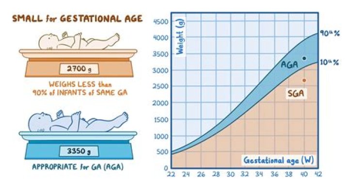 【How-to】What age is r rating