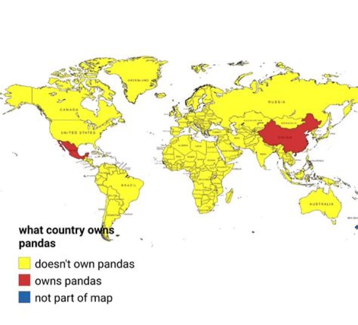 【How-to】What countries have pandas - Howto.org
