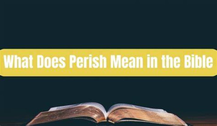 【How-to】What does pilgrim mean in the bible