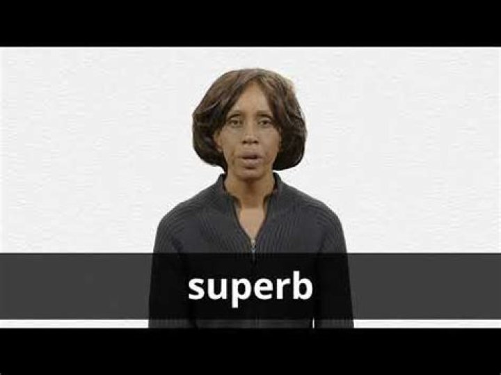 【How-to】What does superb mean - Howto.org