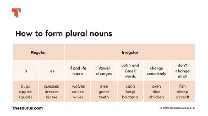 【How-to】What is the plural of hiney