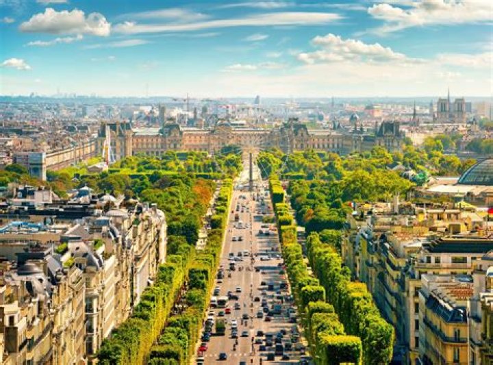 【How-to】What kind of trees line the champs elysees