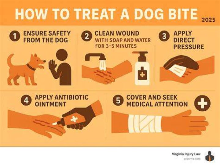 【How-to】When you buy a dog do you get papers