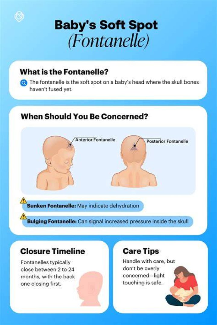 【How-to】Where are baby soft spots