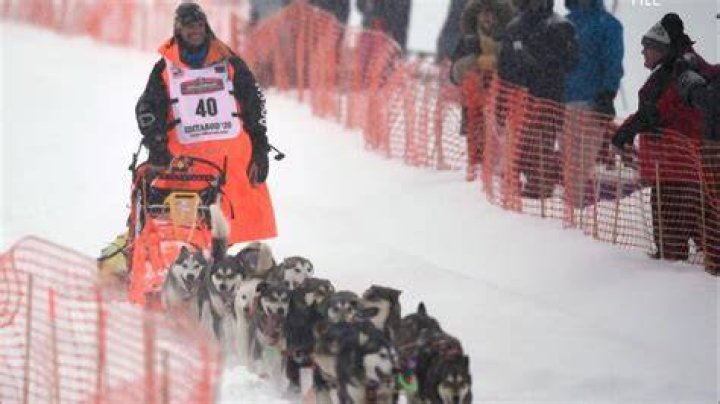 【How-to】Who is the first woman to win the iditarod